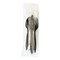 Boardwalk 6-Piece 5.86 in. Plastic Fork/Knife/Napkin/Pepper/Salt/Spoon Cutlery Kit - Black (250/Carton)
